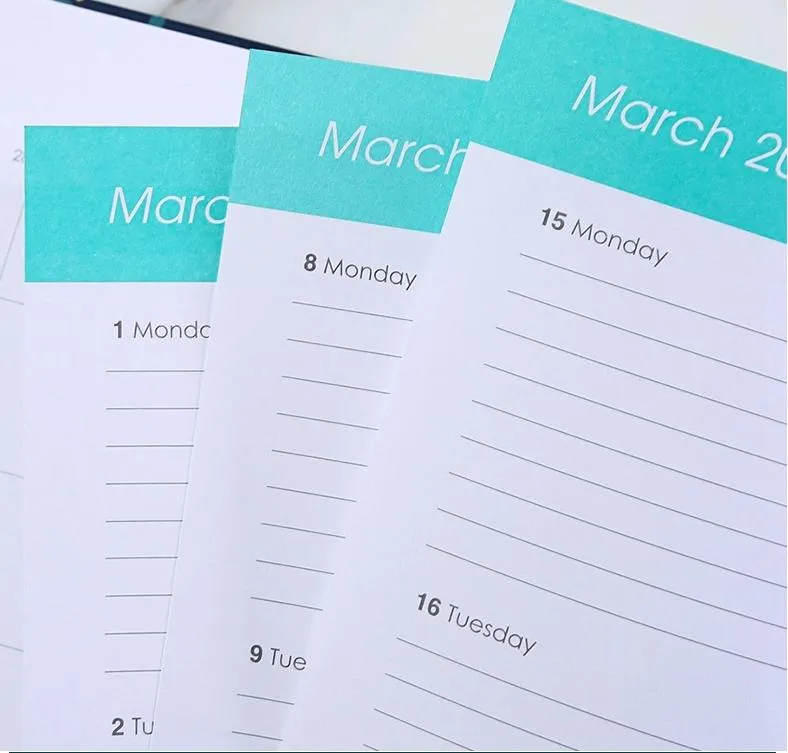 A5 Weekly Planner Metal Wire Spiral Rose Pink Gold Lovely Notebook