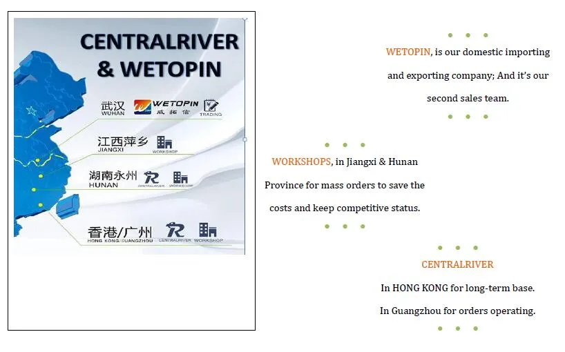 Business & Interview Padfolio Functional Portfolio