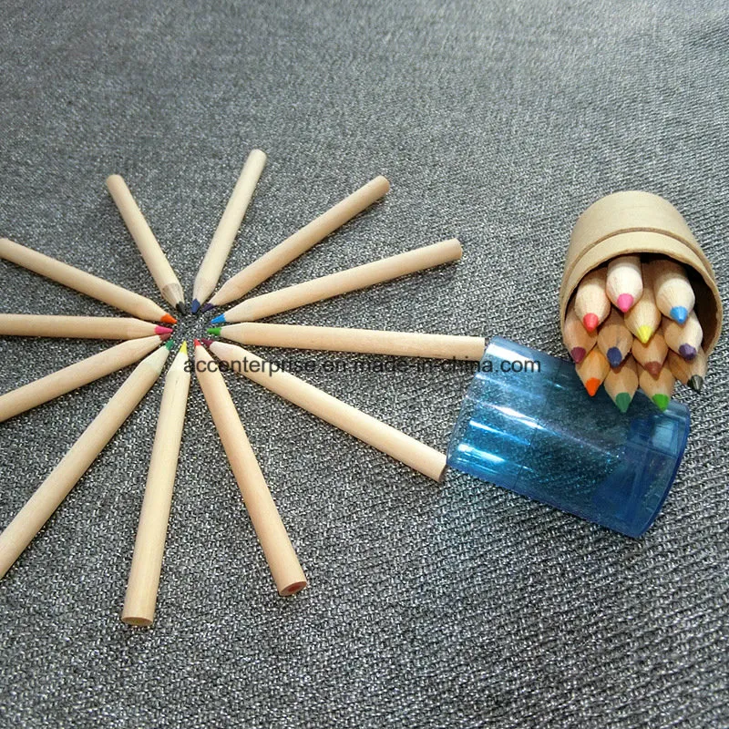 Color Pencil with Logo Printing on Pencil and Package
