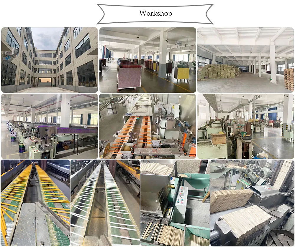 Office Supply Nature Wood Color Pencils with DIP End