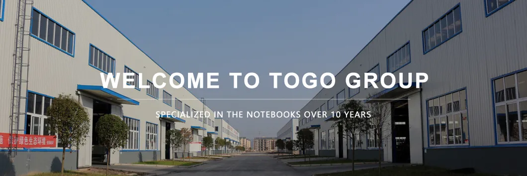 Custom Organizer Diary Paper Notebook Folder PVC PU Leather Agenda