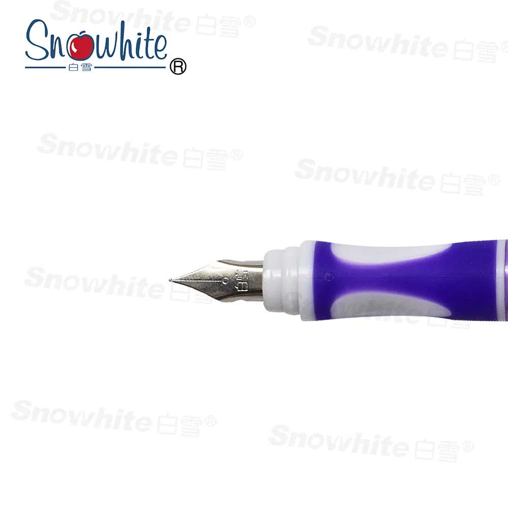 Fountain Pen FP5019 with Liquid Ink System ODM Serives