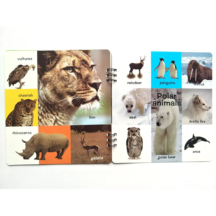 Hardcover Binding Music Sound Memory Colouring Child Board Books for Baby