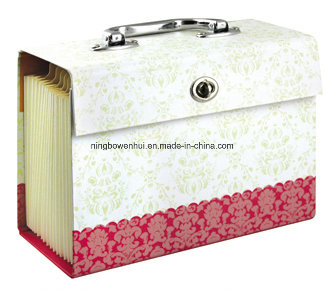 High Quality Expanding Paper File Folder /Case File