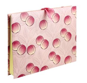 High Quality Expanding Paper File Folder/Case File