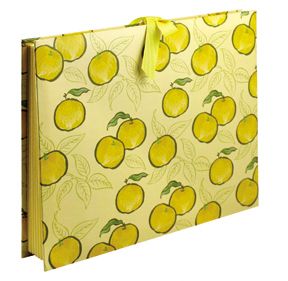 High Quality Expanding Paper File Folder/Case File