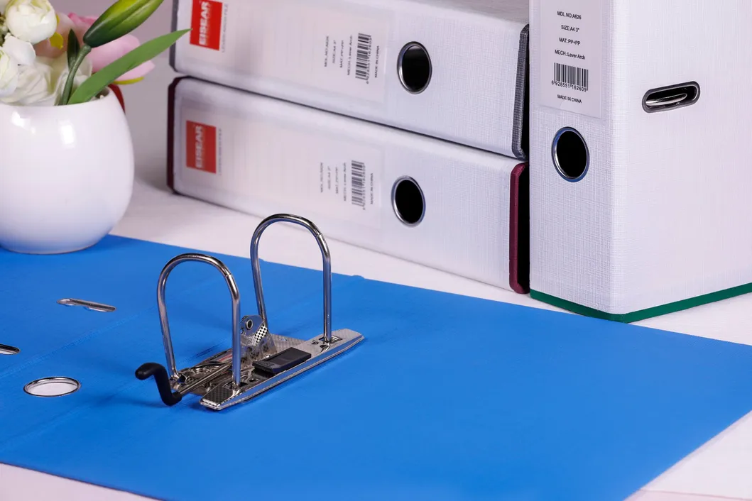 New Arrival 2-Tone PP Lever Arch Files