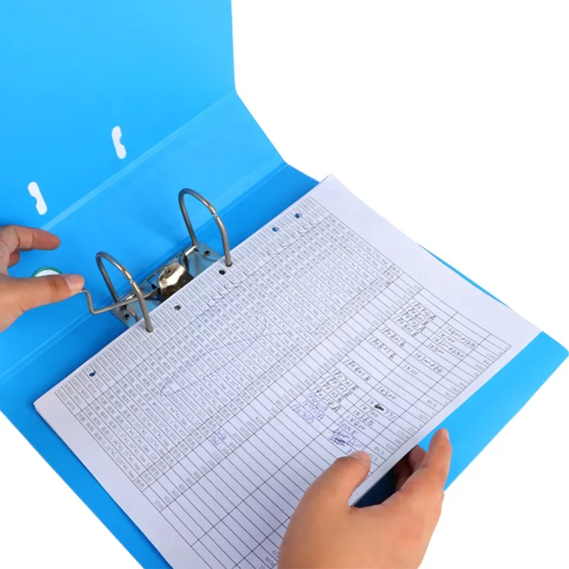 Office Supply A4 Size PP Plastic File 1 Hole 2 D Ring Binder for Document
